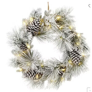 North Pole Trading Co 24 Inch Led Long Needle Pine Heavy Flock Pre lit Wreath